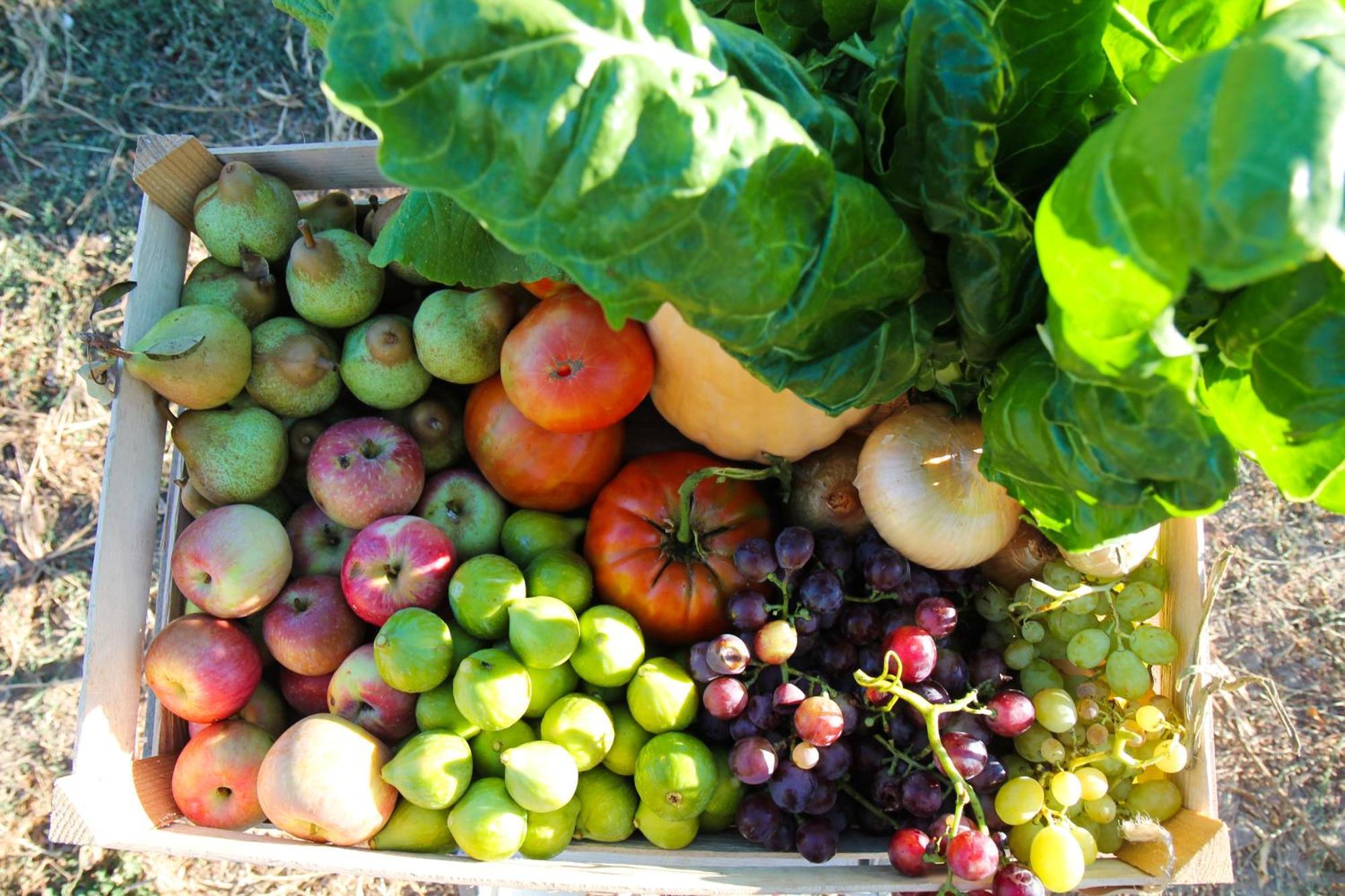 Chitaka'S Organic Farmhouse In Ribatejo Santo Estevao  Luaran gambar