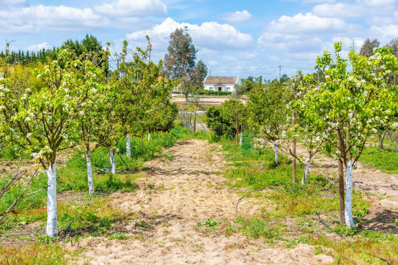 Chitaka'S Organic Farmhouse In Ribatejo Santo Estevao  Luaran gambar